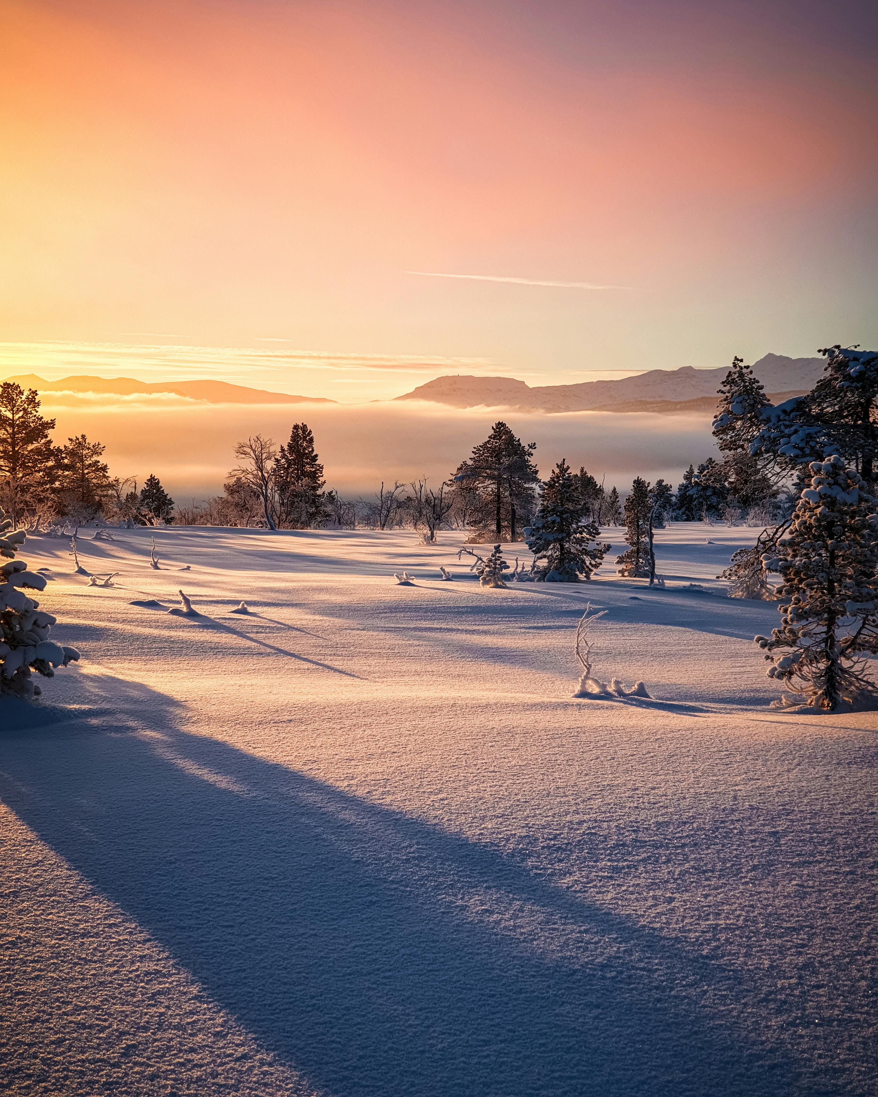 pexels-tobiasbjorkli-1900203